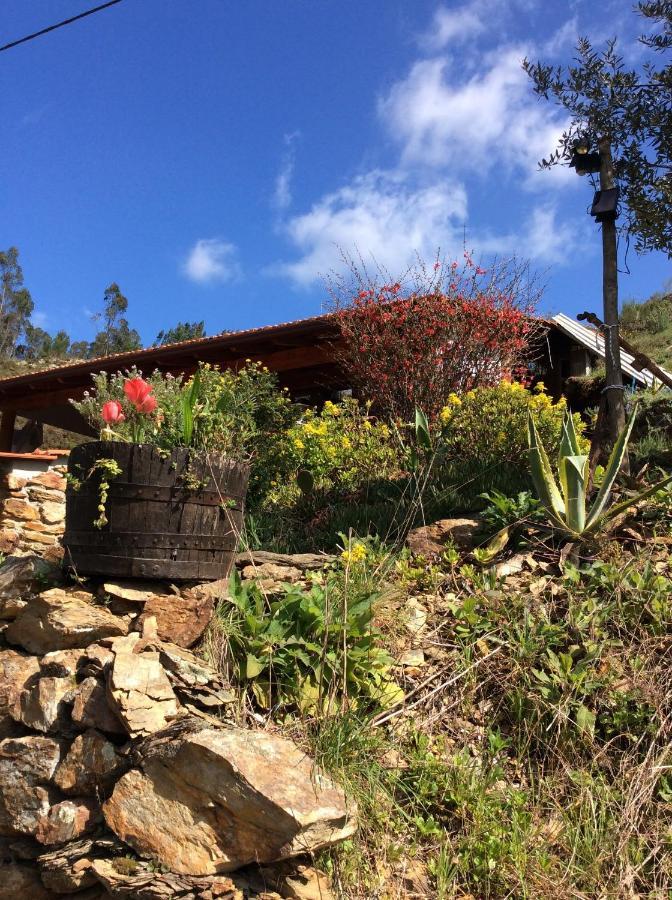 Unique Tiny House With Natural Building Techniques Figueiro Dos Vinhos Ngoại thất bức ảnh