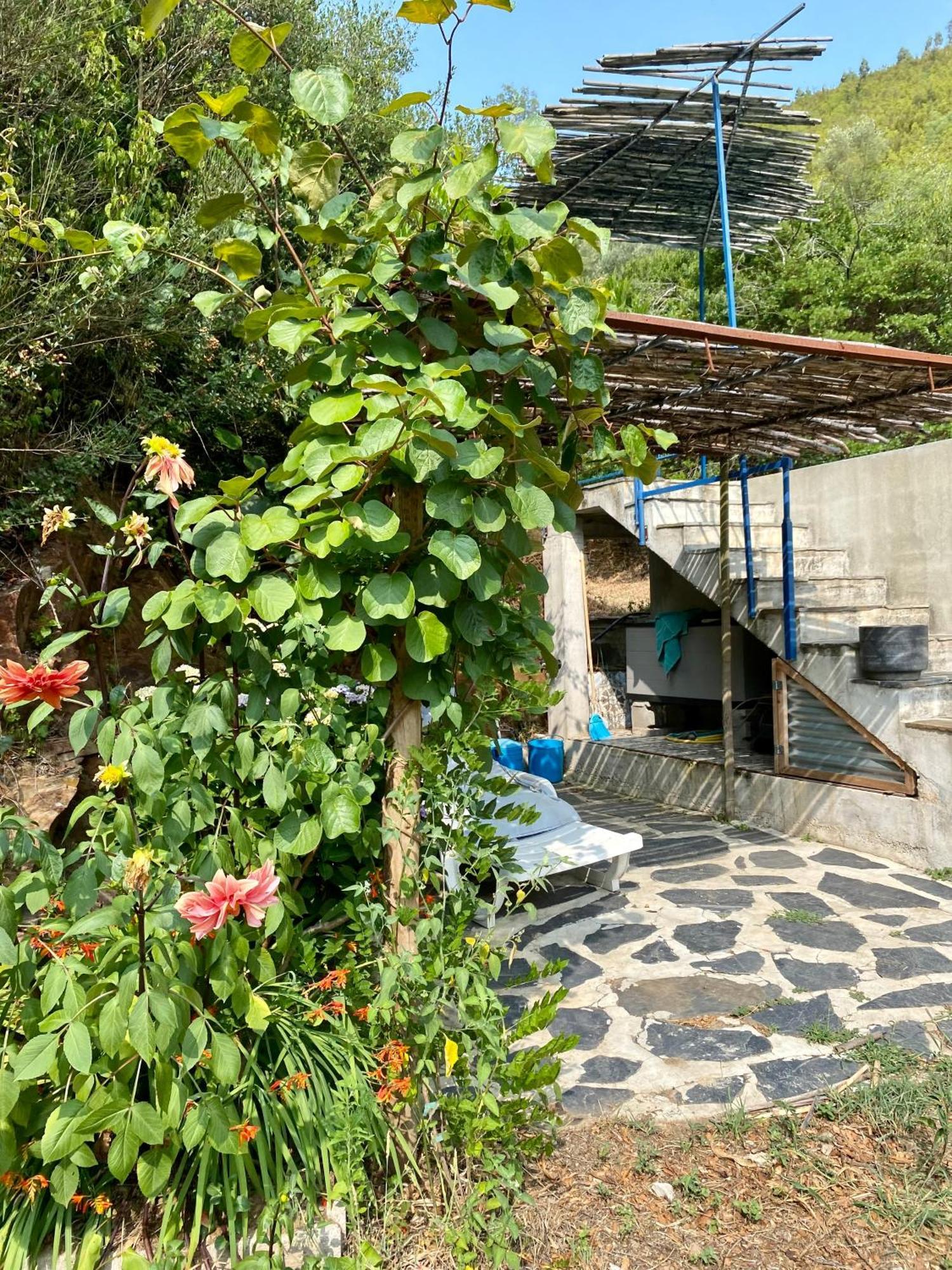 Unique Tiny House With Natural Building Techniques Figueiro Dos Vinhos Ngoại thất bức ảnh